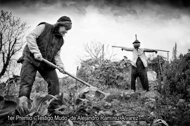 Testigo Mudo-Alejandro Ramírez Álvarez